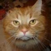 oddstoendless's profile picture