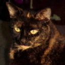 secondlookbooks's profile picture