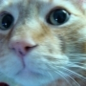 moonstarr69's profile picture