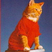 Cybercat's profile picture