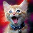 AndreaBags09's profile picture