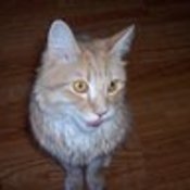 EmeraldPointe's profile picture