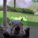 FindersCove's profile picture
