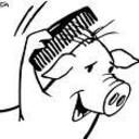 pigletntrekky4hair's profile picture