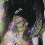 mdanielle's profile picture