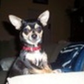 AngelaDeleon's profile picture