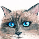 thatcat73's profile picture