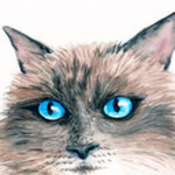 thatcat73's profile picture