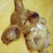 cosetteluna's profile picture