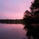 sue_poo's profile picture