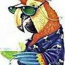 emeraldcoasttoys's profile picture