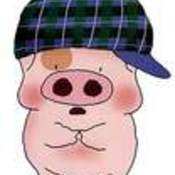baipang's profile picture