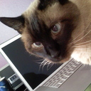 Morticia's profile picture