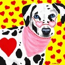 TanyaAmberson's profile picture