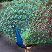 treasuretroveunltd's profile picture