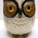 OwlShop's profile picture