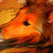 kimberlini's profile picture