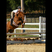 aetrip0285's profile picture
