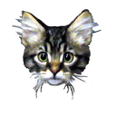 eddietheceo's profile picture