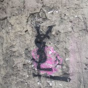 pamakim's profile picture