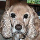 MommyOf2QTs's profile picture