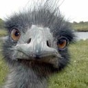 SherAhnn's profile picture