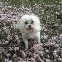 Daisy20's profile picture