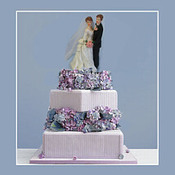 TheWeddingBoutique's profile picture