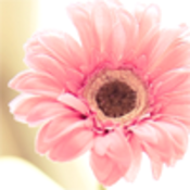 katyem's profile picture