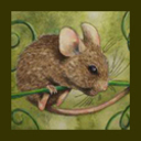 babypackrat's profile picture