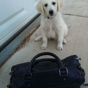 kklug's profile picture