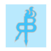 braverelics's profile picture