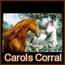 carolsherrell's profile picture