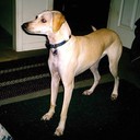 someothertime's profile picture