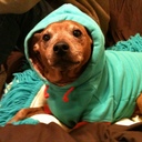 aj1025's profile picture