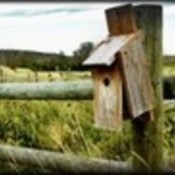 emptynestfarms's profile picture