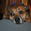 CollectingDivas's profile picture