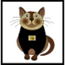 Nikkitytom's profile picture