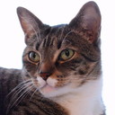 LoveCrafting's profile picture