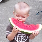 redmonkey's profile picture