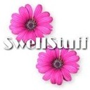 SwellStuff's profile picture