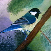 Blue chicadee painting thumb175