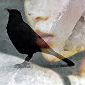 Starlinggirl edited 1 thumb175