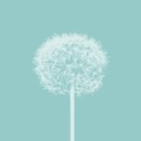 ecostar's profile picture