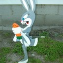 HowlingWolf324's profile picture