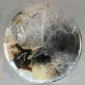 PortofMystery's profile picture