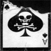 ace13's profile picture