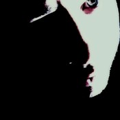 ams1_9_9_2's profile picture