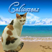 calicoseas's profile picture