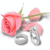 Rose rings thumb175